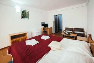 Отель Hotel Simeria Гура-Гуморулуй Двухместный номер с 1 кроватью или 2 отдельными кроватями-3