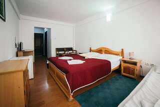 Отель Hotel Simeria Гура-Гуморулуй Двухместный номер с 1 кроватью или 2 отдельными кроватями-4