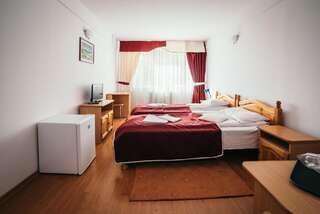 Отель Hotel Simeria Гура-Гуморулуй Двухместный номер с 1 кроватью или 2 отдельными кроватями-6