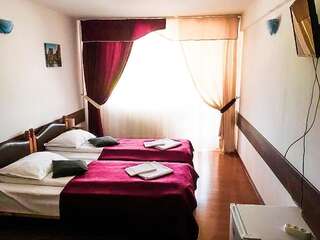 Отель Hotel Simeria Гура-Гуморулуй Двухместный номер с 1 кроватью или 2 отдельными кроватями-1