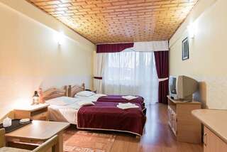 Отель Hotel Simeria Гура-Гуморулуй Двухместный номер с 1 кроватью или 2 отдельными кроватями-8