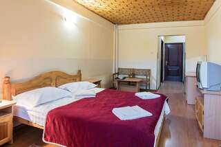 Отель Hotel Simeria Гура-Гуморулуй Двухместный номер с 1 кроватью или 2 отдельными кроватями-9