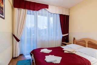 Отель Hotel Simeria Гура-Гуморулуй Улучшенный двухместный номер с 1 кроватью-5