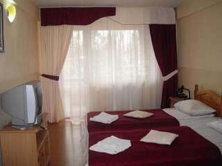 Отель Hotel Simeria Гура-Гуморулуй Двухместный номер с 1 кроватью или 2 отдельными кроватями-12