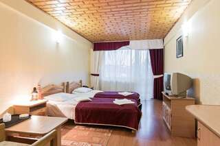 Отель Hotel Simeria Гура-Гуморулуй Двухместный номер с 1 кроватью или 2 отдельными кроватями-16
