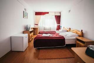 Отель Hotel Simeria Гура-Гуморулуй Двухместный номер с 1 кроватью или 2 отдельными кроватями-19