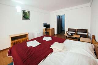 Отель Hotel Simeria Гура-Гуморулуй Двухместный номер с 1 кроватью или 2 отдельными кроватями-22
